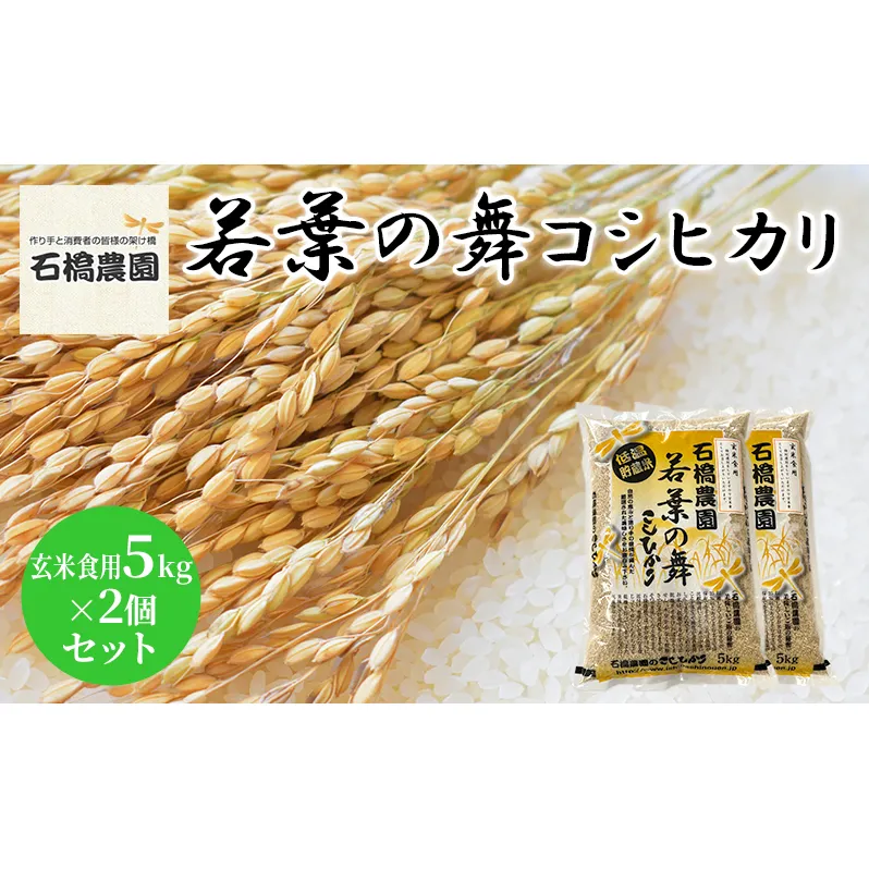 米 若葉の舞 コシヒカリ 玄米食用5kg×2個セット こしひかり セット お米 玄米 千葉 千葉県 低温保存