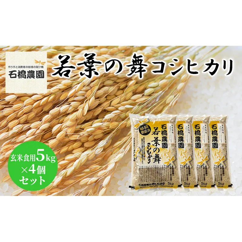 米 若葉の舞 コシヒカリ 玄米食用5kg×4個セット こしひかり セット お米 玄米 千葉 千葉県 低温保存