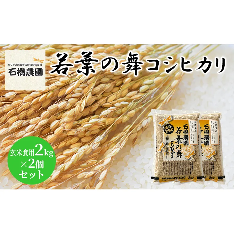 米 若葉の舞 コシヒカリ 玄米食用2kg×2個セット こしひかり セット お米 玄米 千葉 千葉県 低温保存