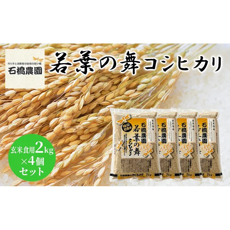 米 若葉の舞 コシヒカリ 玄米食用2kg×4個セット こしひかり セット お米 玄米 千葉 千葉県 低温保存