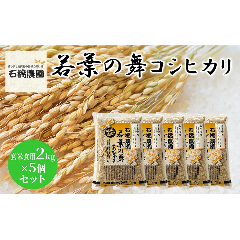 米 若葉の舞 コシヒカリ 玄米食用2kg×5個セット こしひかり セット お米 玄米 千葉 千葉県 低温保存