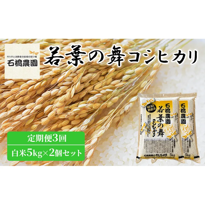 米 若葉の舞 コシヒカリ 白米5kg×2個セット 定期便3回 こしひかり セット 定期便 お米 白米 精米 千葉 千葉県 低温保存