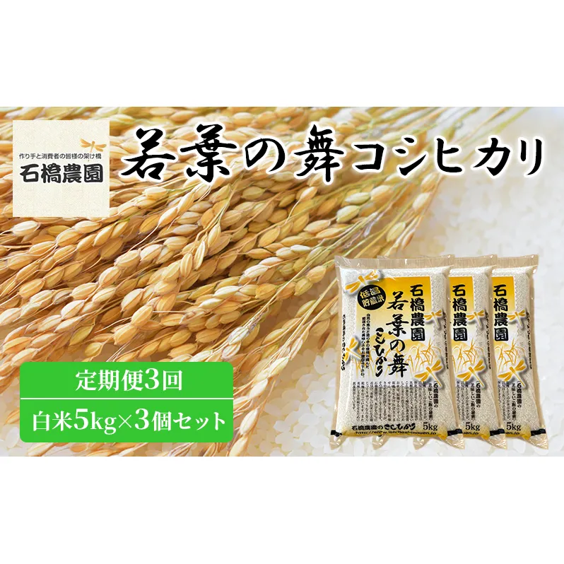 米 若葉の舞 コシヒカリ 白米5kg×3個セット 定期便3回 こしひかり セット 定期便 お米 白米 精米 千葉 千葉県 低温保存