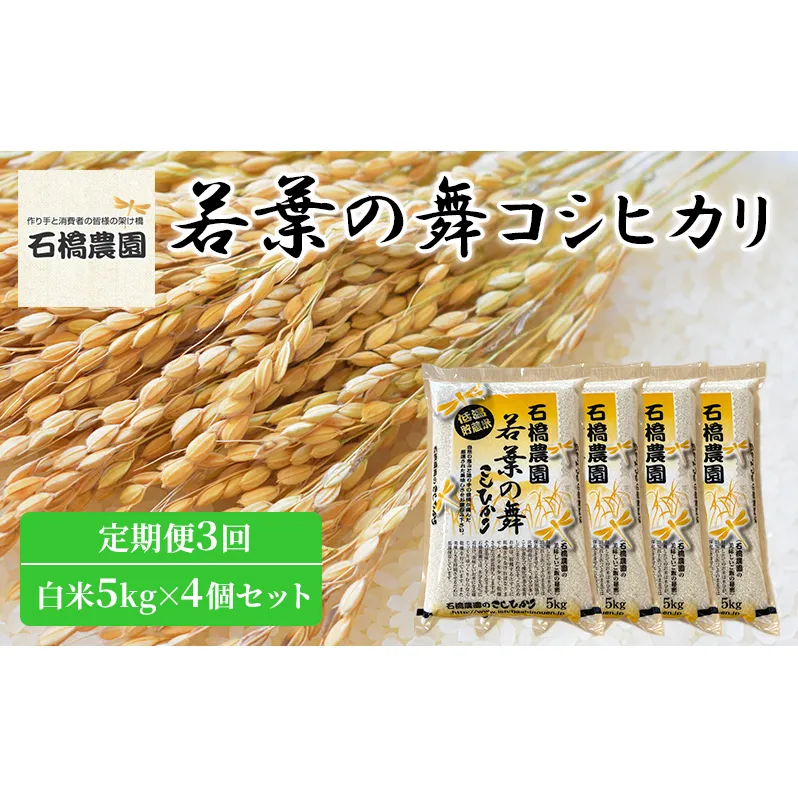 米 若葉の舞 コシヒカリ 白米5kg×4個セット 定期便3回 こしひかり セット 定期便 お米 白米 精米 千葉 千葉県 低温保存