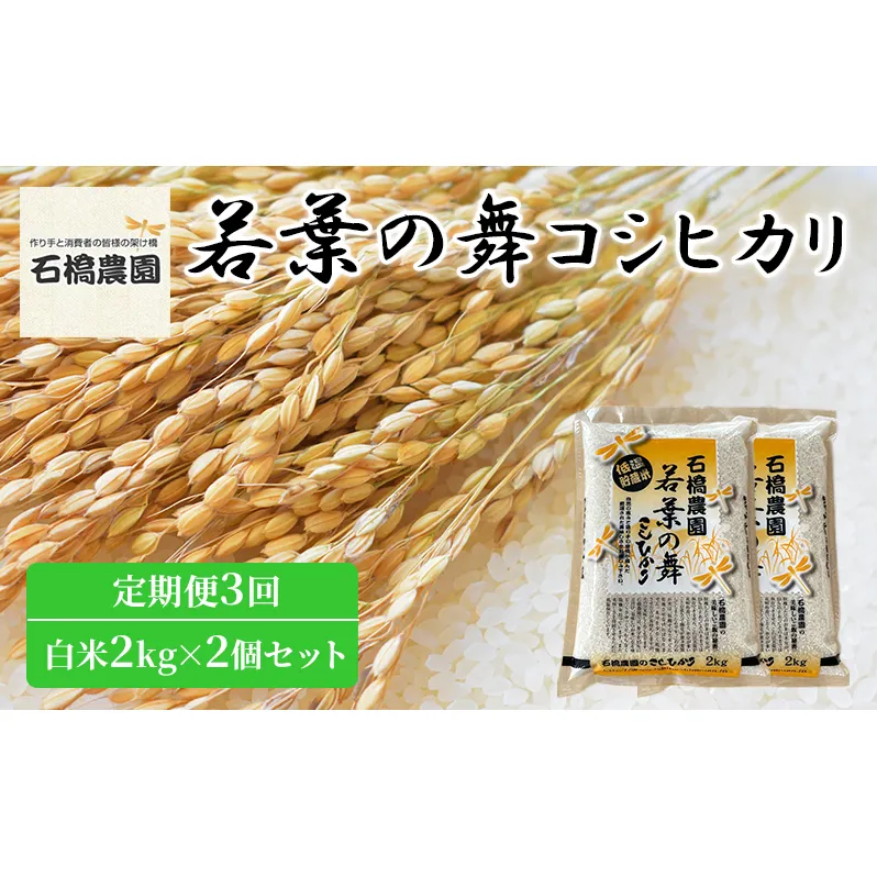 米 若葉の舞 コシヒカリ 白米2kg×2個セット 定期便3回 こしひかり セット 定期便 お米 白米 精米 千葉 千葉県 低温保存