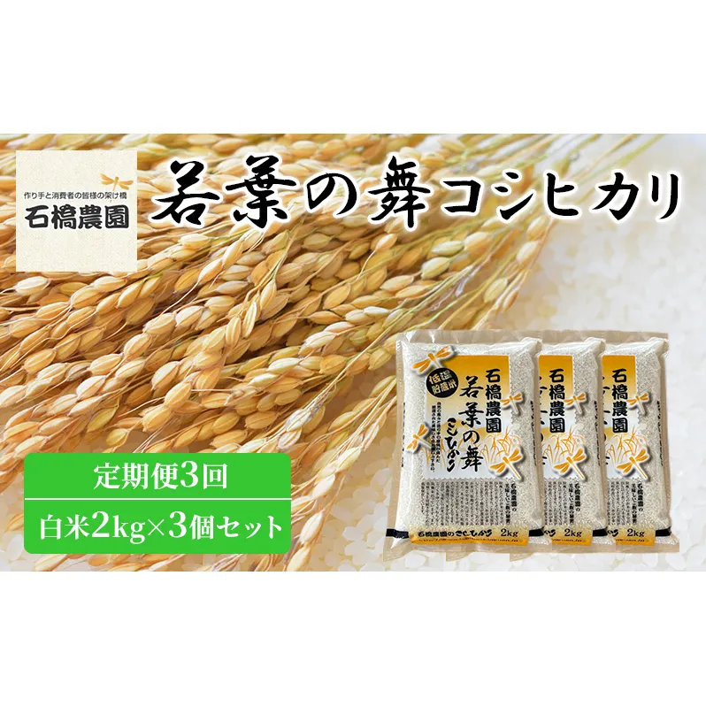 米 若葉の舞 コシヒカリ 白米2kg×3個セット 定期便3回 こしひかり セット 定期便 お米 白米 精米 千葉 千葉県 低温保存