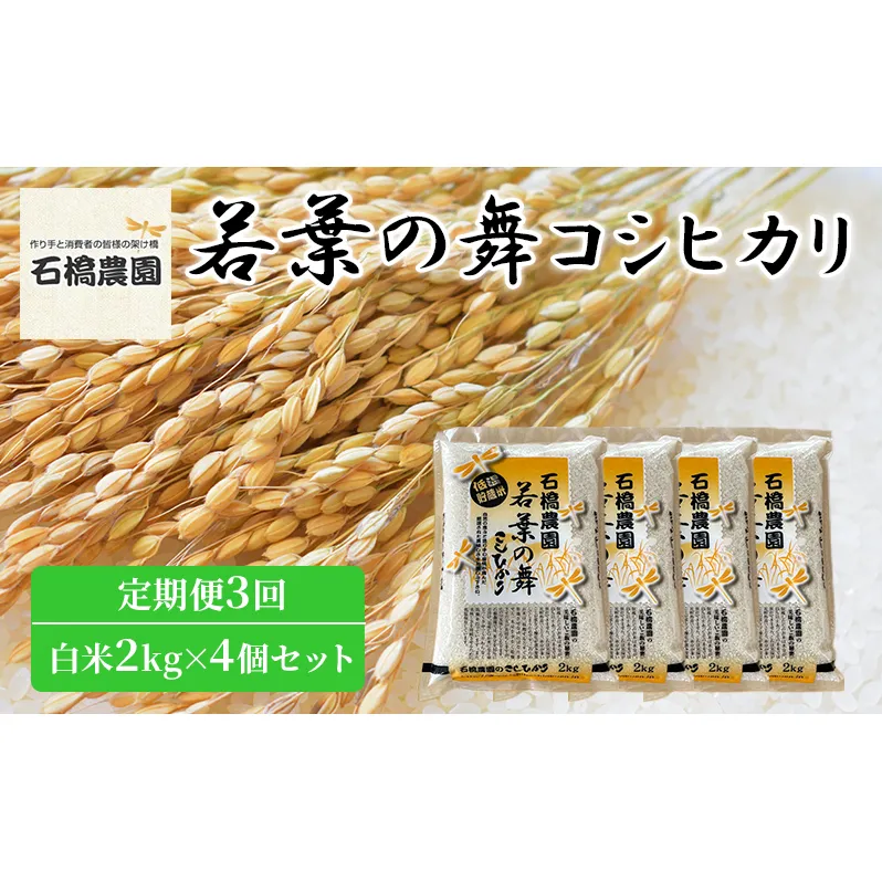 米 若葉の舞 コシヒカリ 白米2kg×4個セット 定期便3回 こしひかり セット 定期便 お米 白米 精米 千葉 千葉県 低温保存