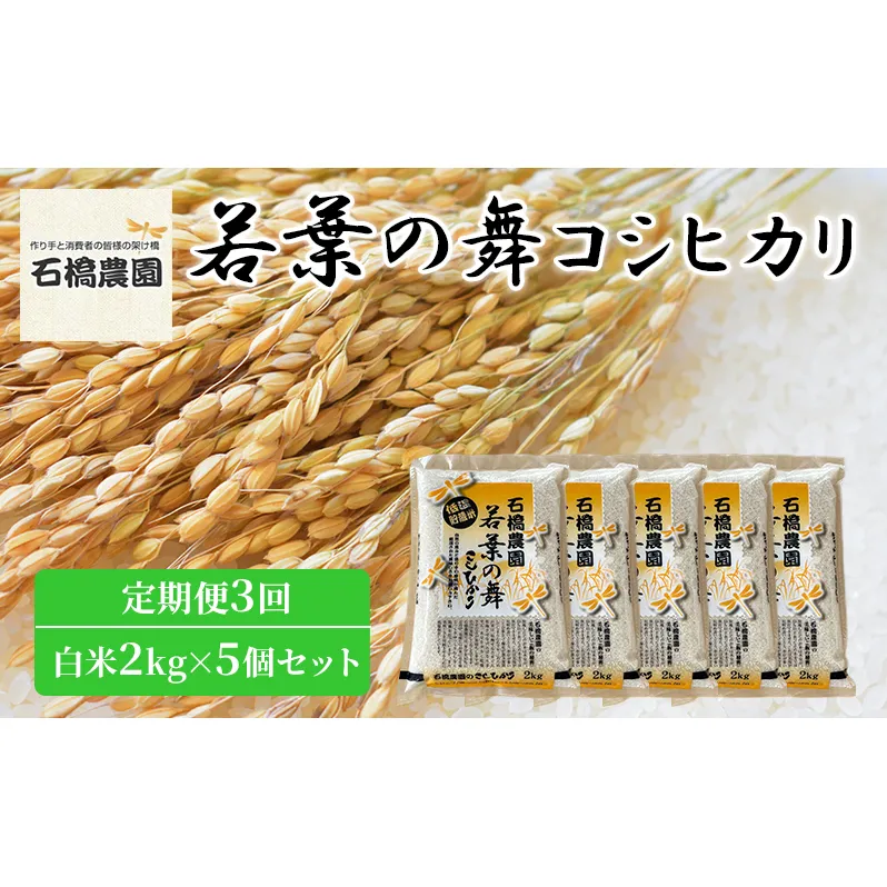 米 若葉の舞 コシヒカリ 白米2kg×5個セット 定期便3回 こしひかり セット 定期便 お米 白米 精米 千葉 千葉県 低温保存