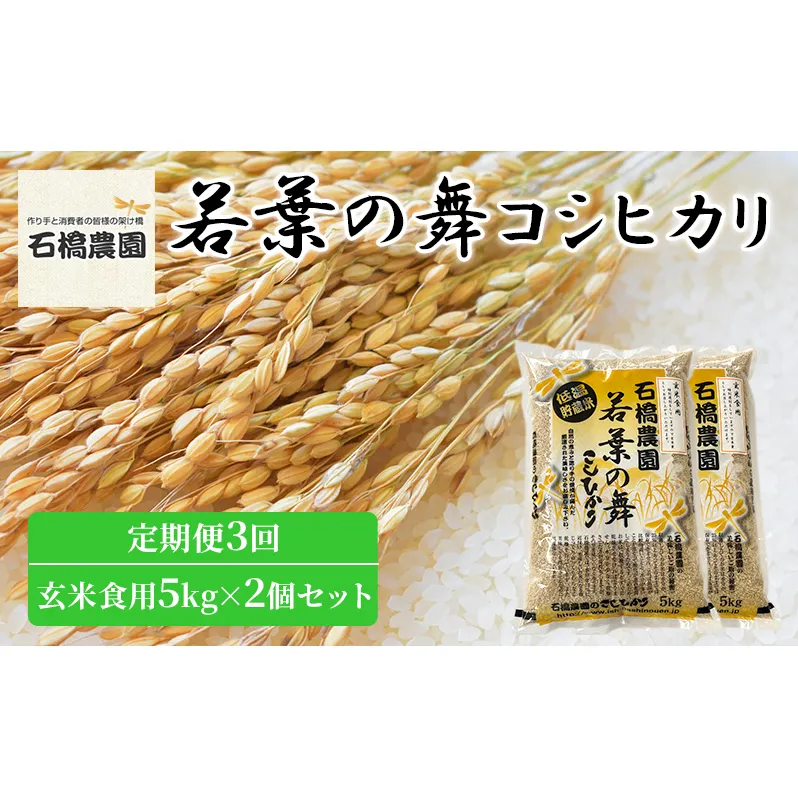 米 若葉の舞 コシヒカリ 玄米食用5kg×2個セット 定期便3回 こしひかり セット 定期便 お米 玄米 千葉 千葉県 低温保存