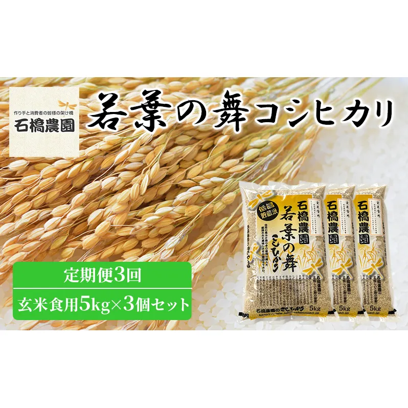 米 若葉の舞 コシヒカリ 玄米食用5kg×3個セット 定期便3回 こしひかり セット 定期便 お米 玄米 千葉 千葉県 低温保存