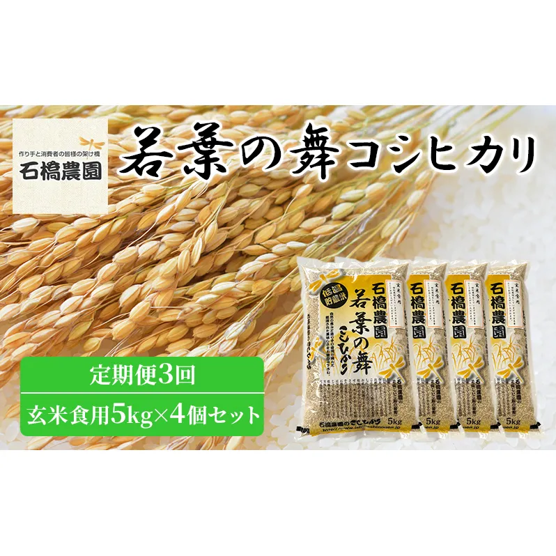 米 若葉の舞 コシヒカリ 玄米食用5kg×4個セット 定期便3回 こしひかり セット 定期便 お米 玄米 千葉 千葉県 低温保存