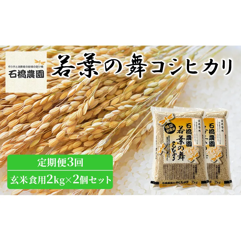 米 若葉の舞 コシヒカリ 玄米食用2kg×2個セット 定期便3回 こしひかり セット 定期便 お米 玄米 千葉 千葉県 低温保存