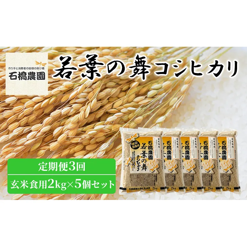 米 若葉の舞 コシヒカリ 玄米食用2kg×5個セット 定期便3回 こしひかり セット 定期便 お米 玄米 千葉 千葉県 低温保存