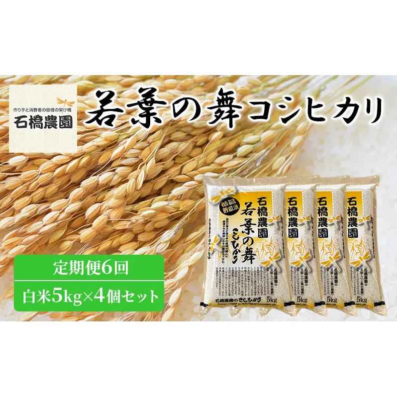 米 若葉の舞 コシヒカリ 白米5kg×4個セット 定期便6回 こしひかり セット 定期便 お米 白米 精米 千葉 千葉県 低温保存