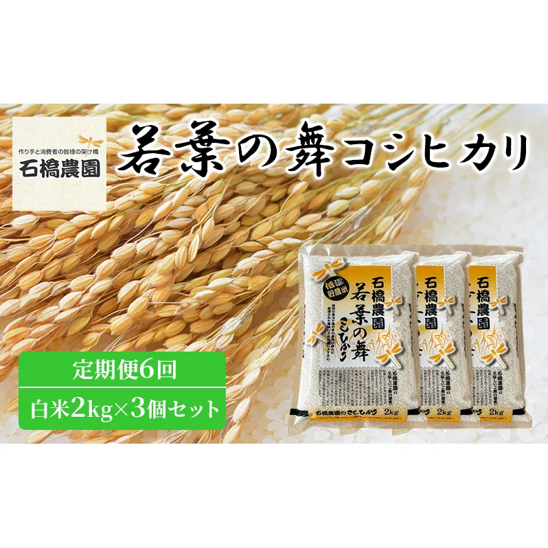 米 若葉の舞 コシヒカリ 白米2kg×3個セット 定期便6回 こしひかり セット 定期便 お米 白米 精米 千葉 千葉県 低温保存