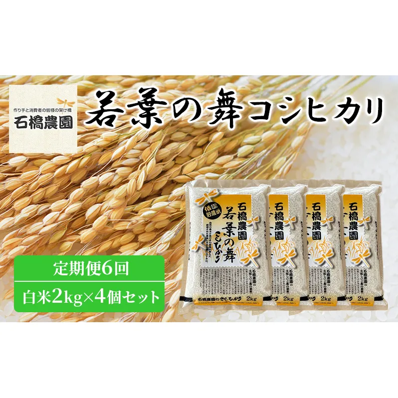 米 若葉の舞 コシヒカリ 白米2kg×4個セット 定期便6回 こしひかり セット 定期便 お米 白米 精米 千葉 千葉県 低温保存