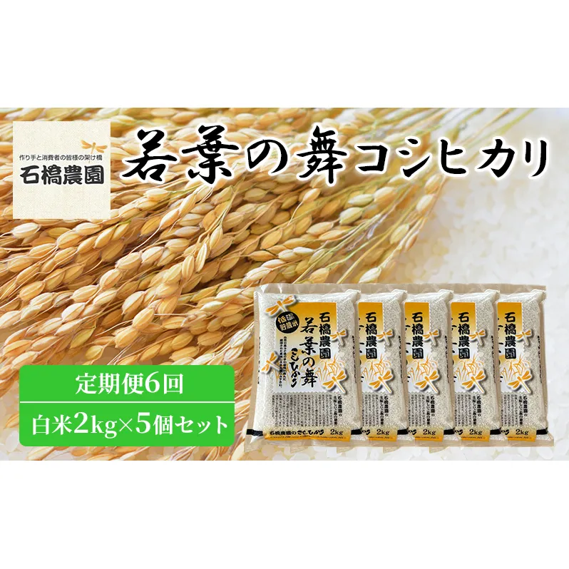 米 若葉の舞 コシヒカリ 白米2kg×5個セット 定期便6回 こしひかり セット 定期便 お米 白米 精米 千葉 千葉県 低温保存