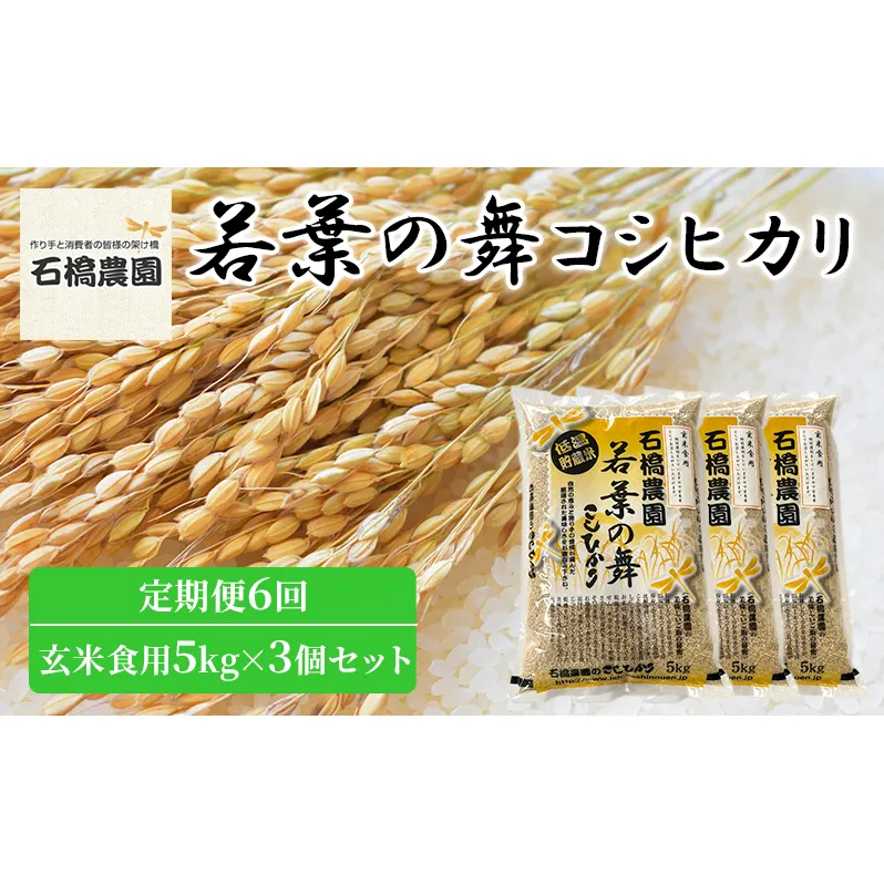 米 若葉の舞 コシヒカリ 玄米食用5kg×3個セット 定期便6回 こしひかり セット 定期便 お米 玄米 千葉 千葉県 低温保存