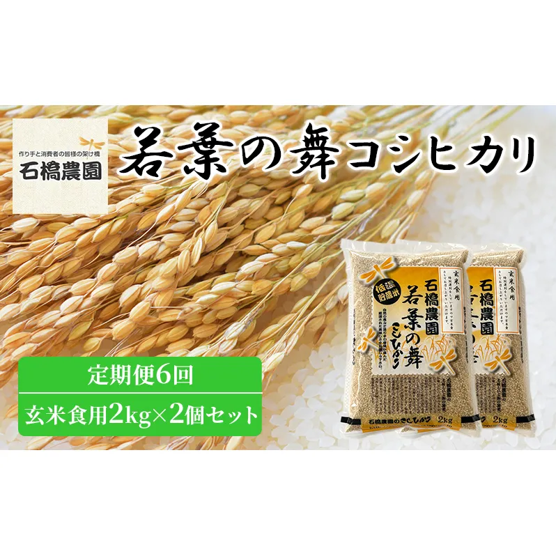 米 若葉の舞 コシヒカリ 玄米食用2kg×2個セット 定期便6回 こしひかり セット 定期便 お米 玄米 千葉 千葉県 低温保存