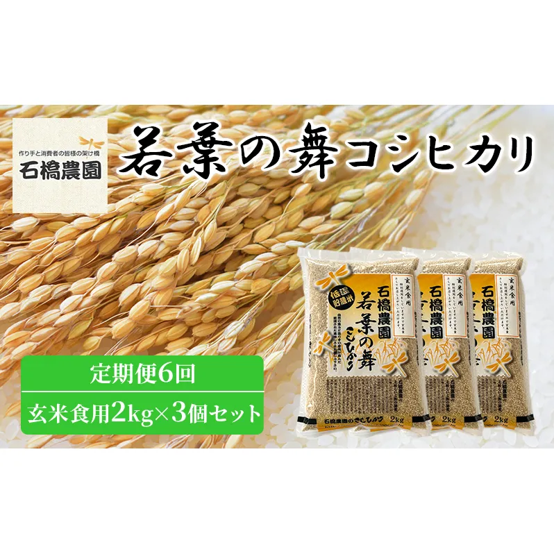 米 若葉の舞 コシヒカリ 玄米食用2kg×3個セット 定期便6回 こしひかり セット 定期便 お米 玄米 千葉 千葉県 低温保存