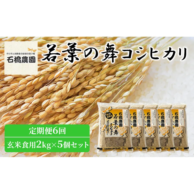 米 若葉の舞 コシヒカリ 玄米食用2kg×5個セット 定期便6回 こしひかり セット 定期便 お米 玄米 千葉 千葉県 低温保存