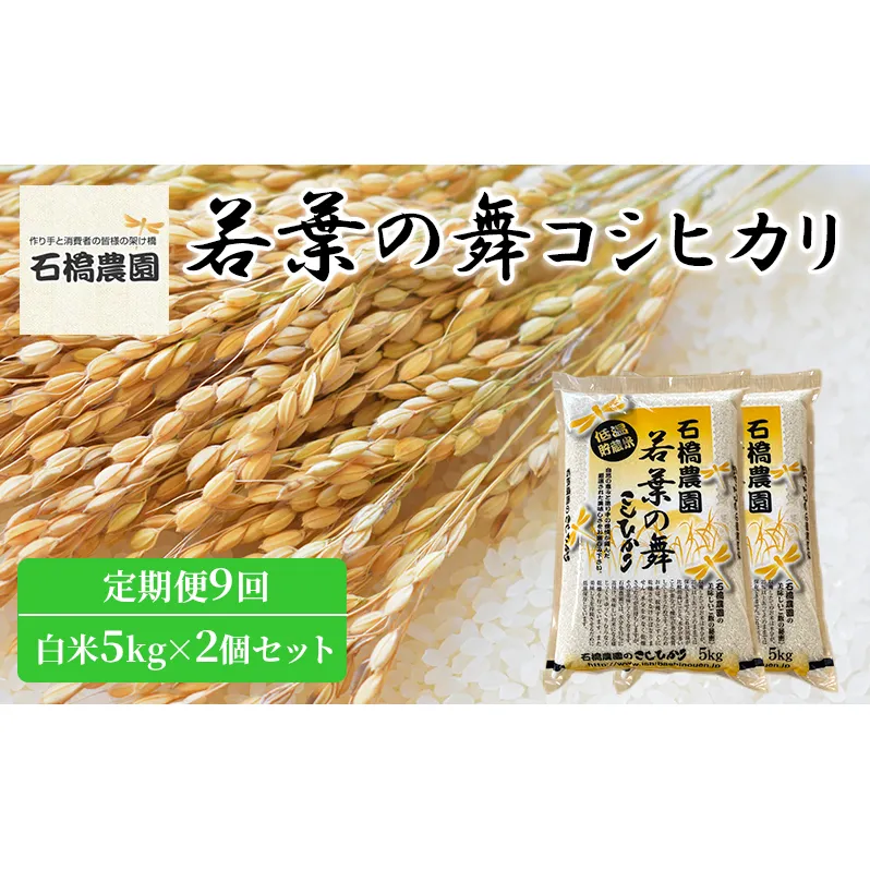 米 若葉の舞 コシヒカリ 白米5kg×2個セット 定期便9回 こしひかり セット 定期便 お米 白米 精米 千葉 千葉県 低温保存