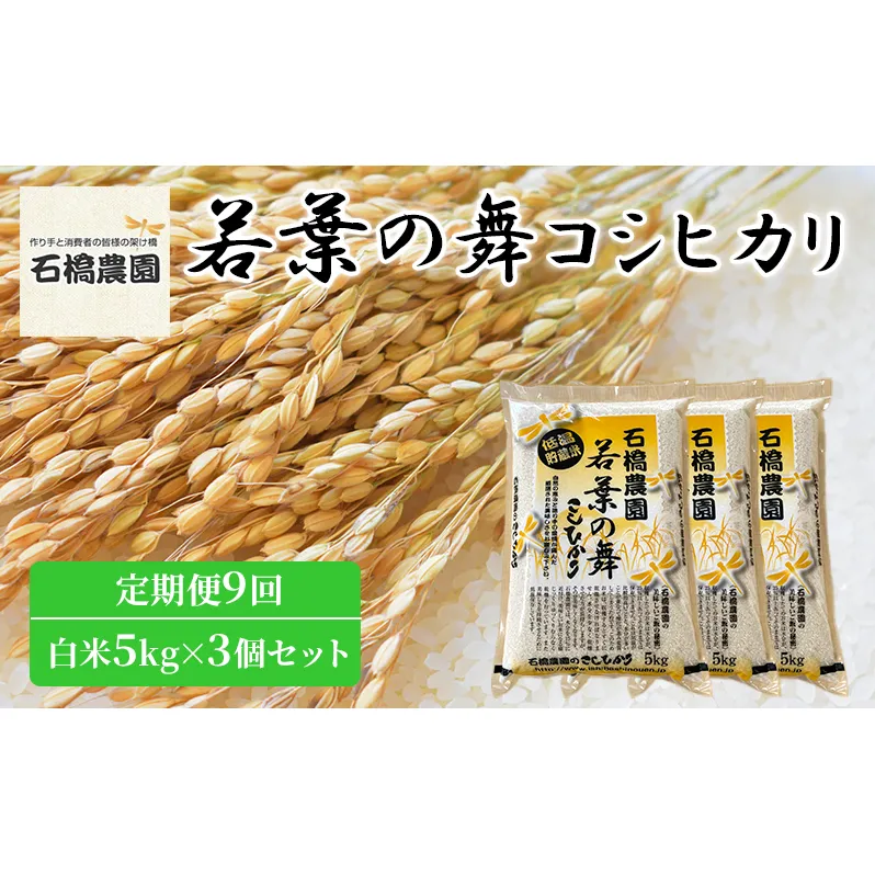 米 若葉の舞 コシヒカリ 白米5kg×3個セット 定期便9回 こしひかり セット 定期便 お米 白米 精米 千葉 千葉県 低温保存