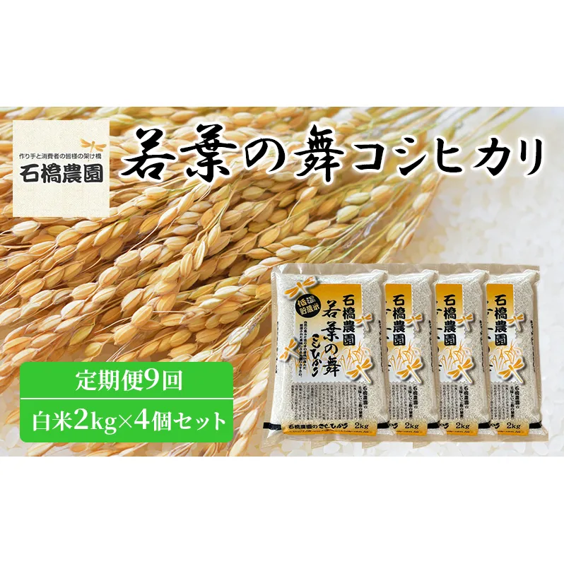 米 若葉の舞 コシヒカリ 白米2kg×4個セット 定期便9回 こしひかり セット 定期便 お米 白米 精米 千葉 千葉県 低温保存