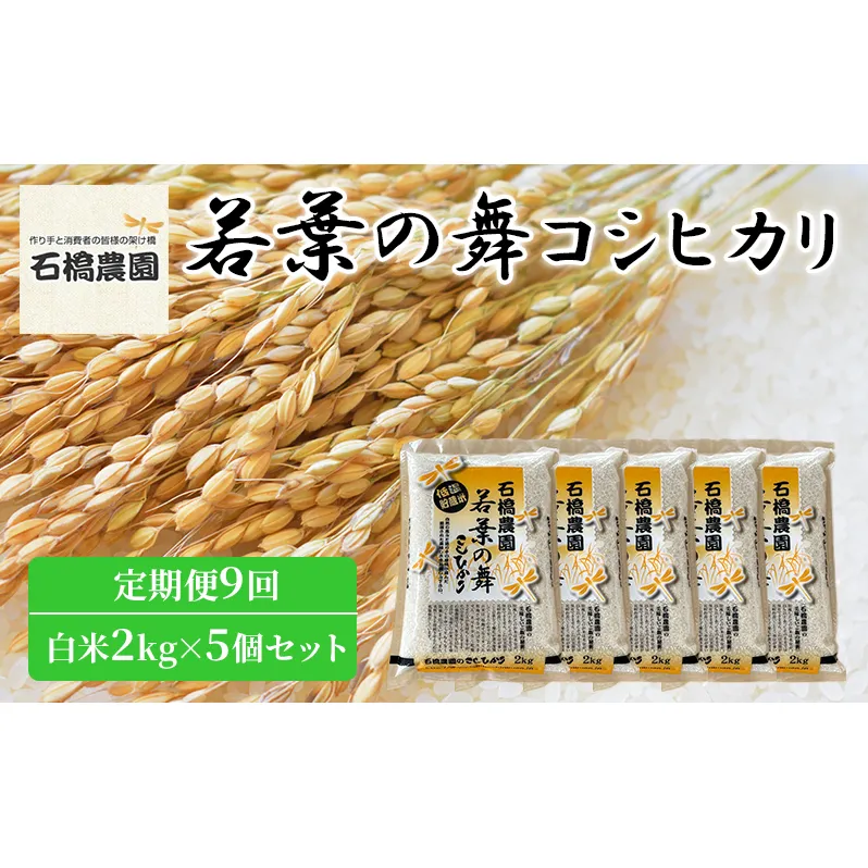 米 若葉の舞 コシヒカリ 白米2kg×5個セット 定期便9回 こしひかり セット 定期便 お米 白米 精米 千葉 千葉県 低温保存