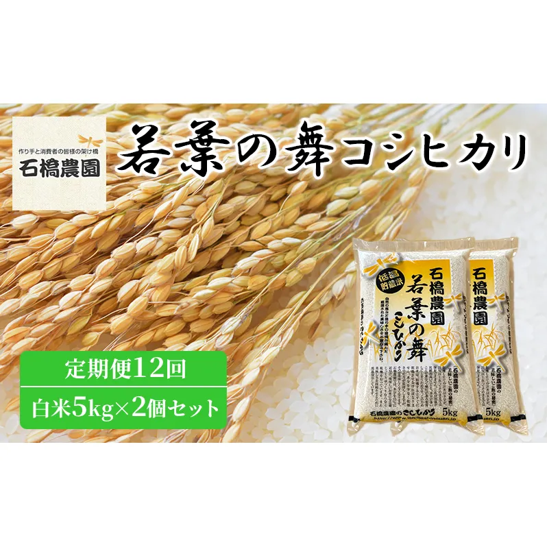 米 若葉の舞 コシヒカリ 白米5kg×2個セット 定期便12回 こしひかり セット 定期便 お米 白米 精米 千葉 千葉県 低温保存