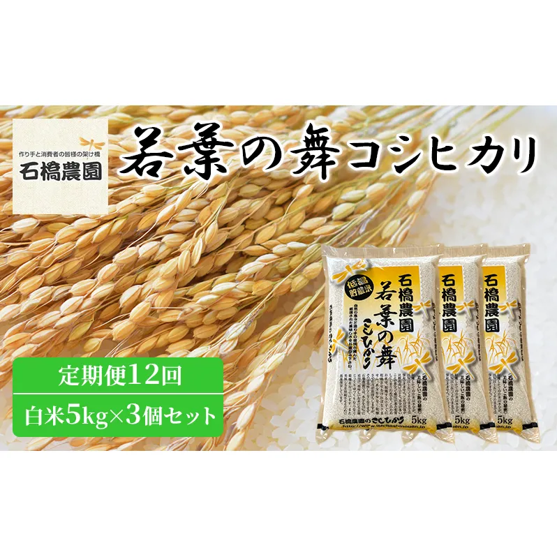 米 若葉の舞 コシヒカリ 白米5kg×3個セット 定期便12回 こしひかり セット 定期便 お米 白米 精米 千葉 千葉県 低温保存