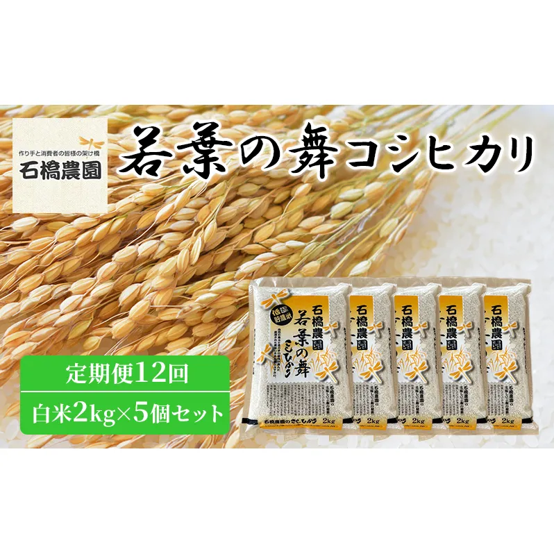 米 若葉の舞 コシヒカリ 白米2kg×5個セット 定期便12回 こしひかり セット 定期便 お米 白米 精米 千葉 千葉県 低温保存