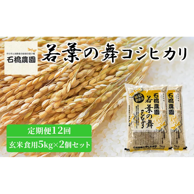 米 若葉の舞 コシヒカリ 玄米食用5kg×2個セット 定期便12回 こしひかり セット 定期便 お米 玄米 千葉 千葉県 低温保存