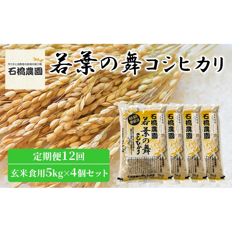 米 若葉の舞 コシヒカリ 玄米食用5kg×4個セット 定期便12回 こしひかり セット 定期便 お米 玄米 千葉 千葉県 低温保存