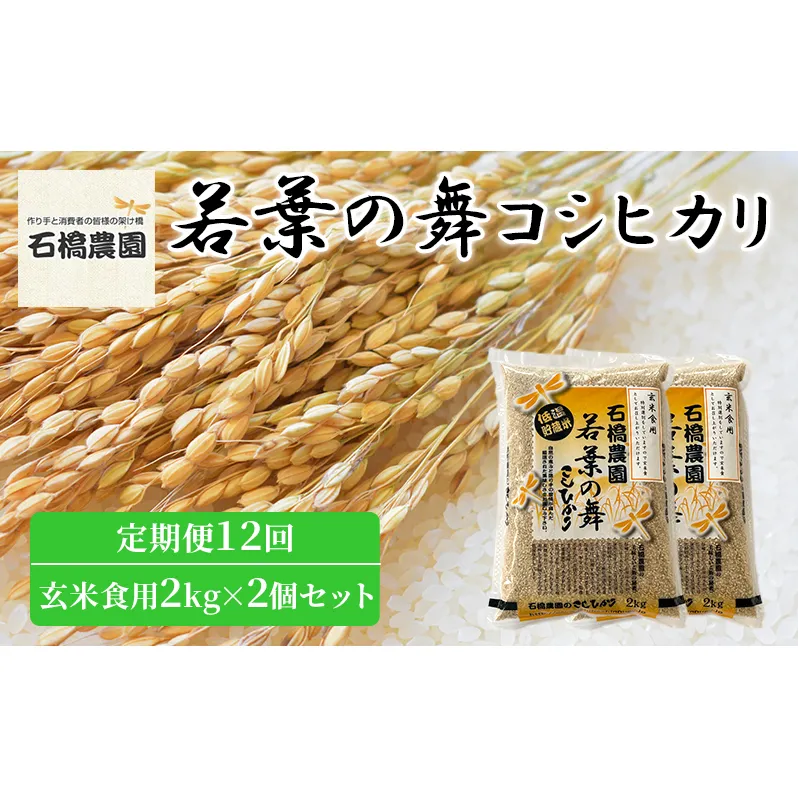 米 若葉の舞 コシヒカリ 玄米食用2kg×2個セット 定期便12回 こしひかり セット 定期便 お米 玄米 千葉 千葉県 低温保存