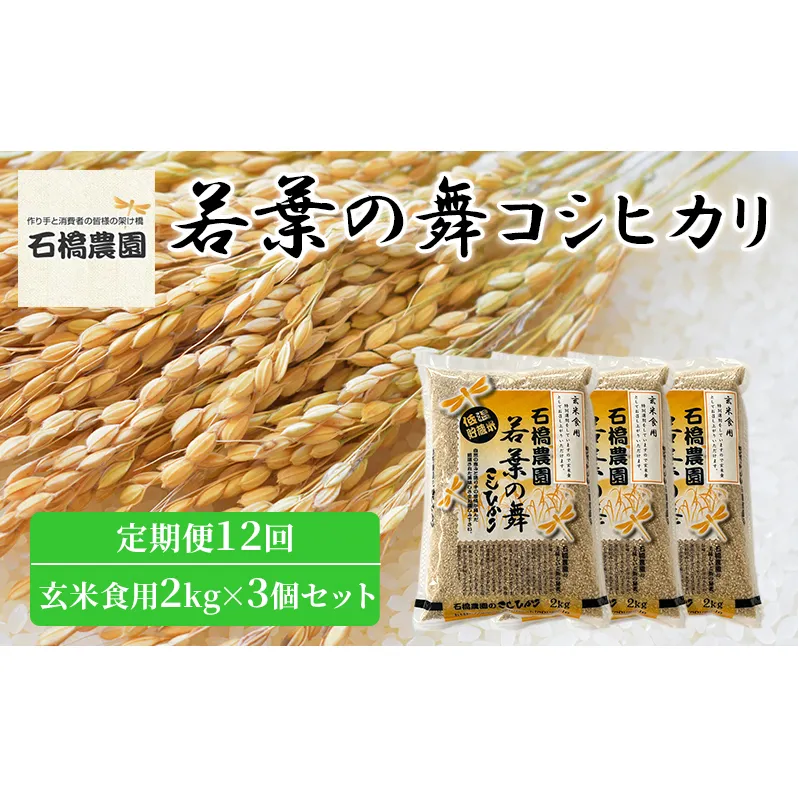 米 若葉の舞 コシヒカリ 玄米食用2kg×3個セット 定期便12回 こしひかり セット 定期便 お米 玄米 千葉 千葉県 低温保存