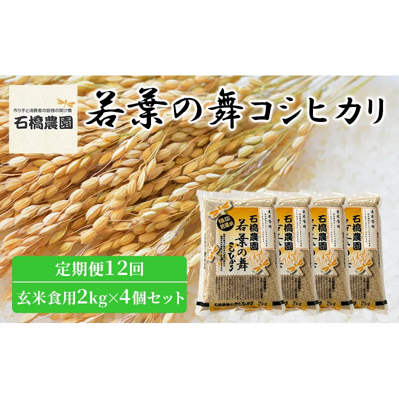 米 若葉の舞 コシヒカリ 玄米食用2kg×4個セット 定期便12回 こしひかり セット 定期便 お米 玄米 千葉 千葉県 低温保存