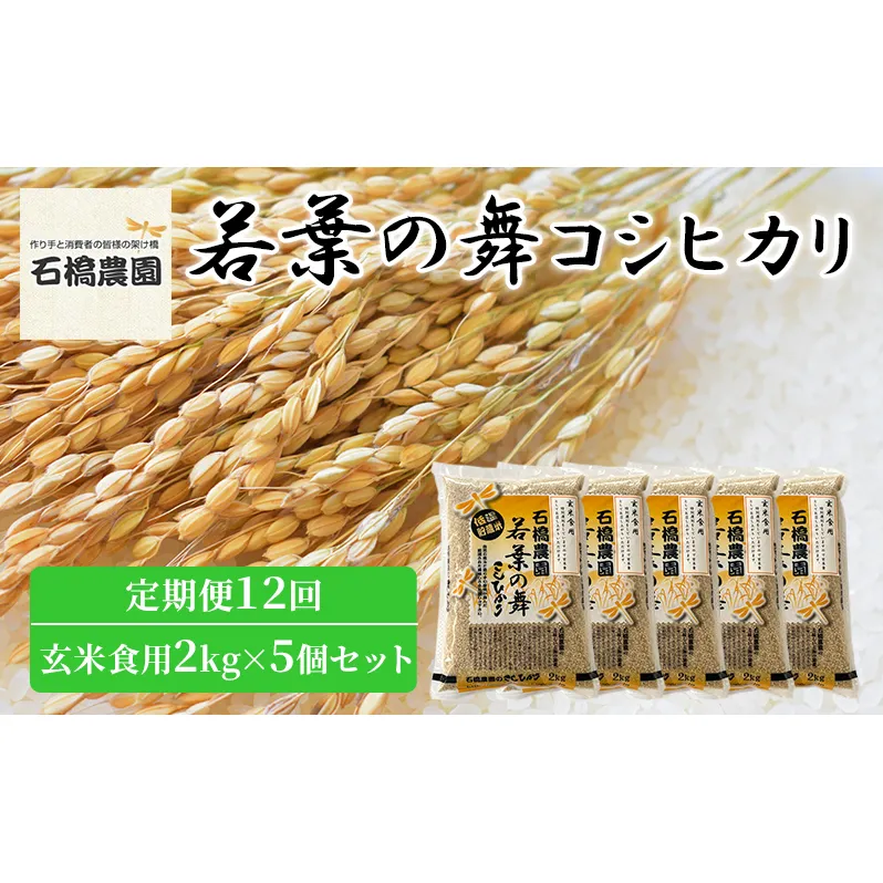 米 若葉の舞 コシヒカリ 玄米食用2kg×5個セット 定期便12回 こしひかり セット 定期便 お米 玄米 千葉 千葉県 低温保存