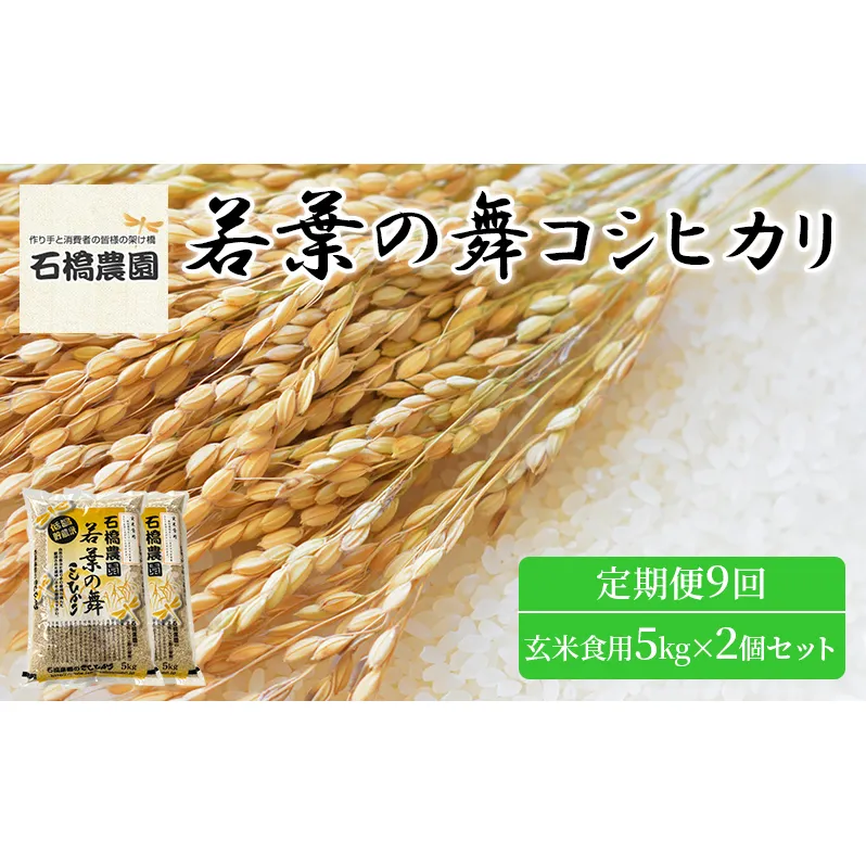 米 若葉の舞 コシヒカリ 玄米食用5Kg×2個セット 定期便9回 こしひかり セット お米 玄米 千葉 千葉県 低温保存