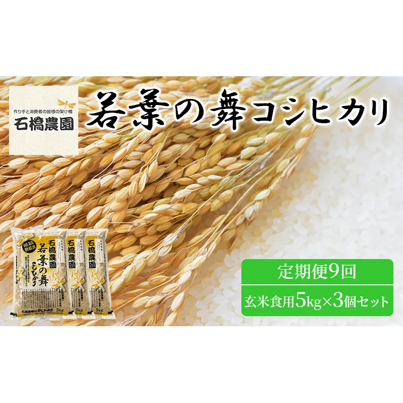 米 若葉の舞 コシヒカリ 玄米食用5Kg×3個セット 定期便9回 こしひかり セット お米 玄米 千葉 千葉県 低温保存