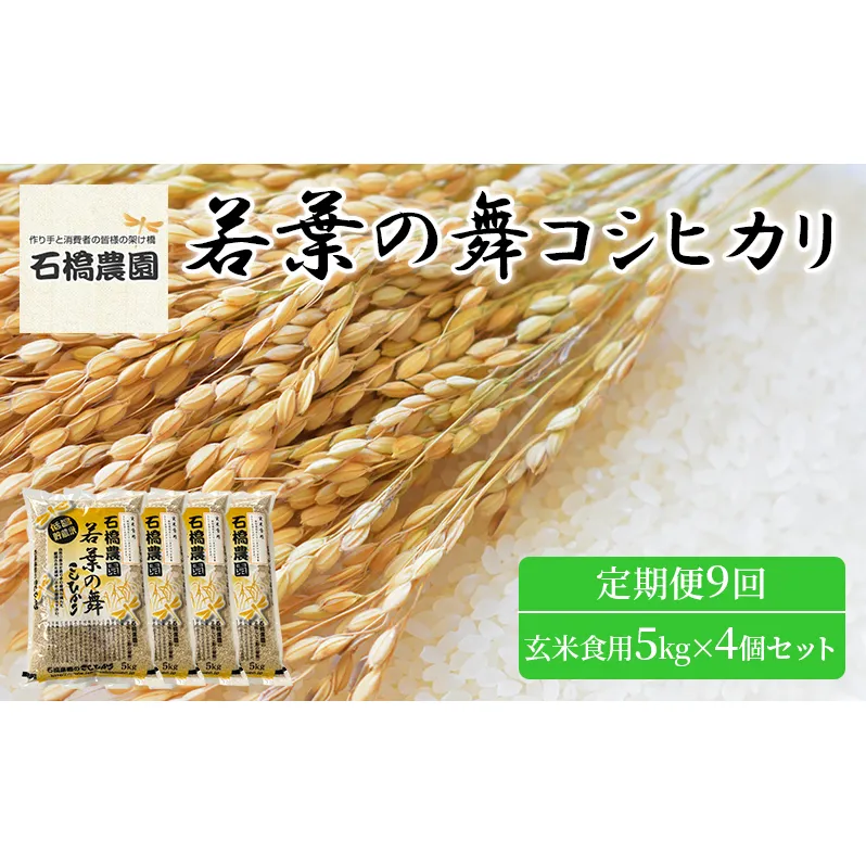 米 若葉の舞 コシヒカリ 玄米食用5Kg×4個セット 定期便9回 こしひかり セット お米 玄米 千葉 千葉県 低温保存