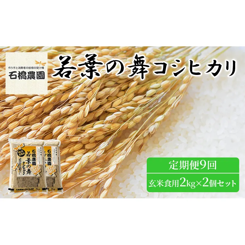 米 若葉の舞 コシヒカリ 玄米食用2Kg×2個セット 定期便9回 こしひかり セット お米 玄米 千葉 千葉県 低温保存