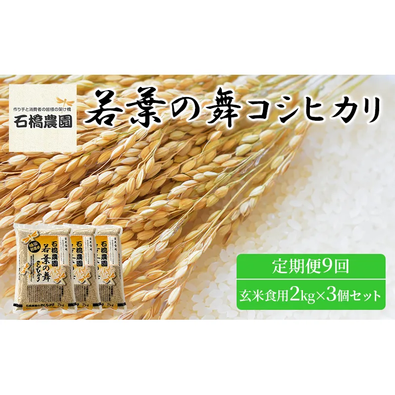 米 若葉の舞 コシヒカリ 玄米食用2Kg×3個セット 定期便9回 こしひかり セット お米 玄米 千葉 千葉県 低温保存