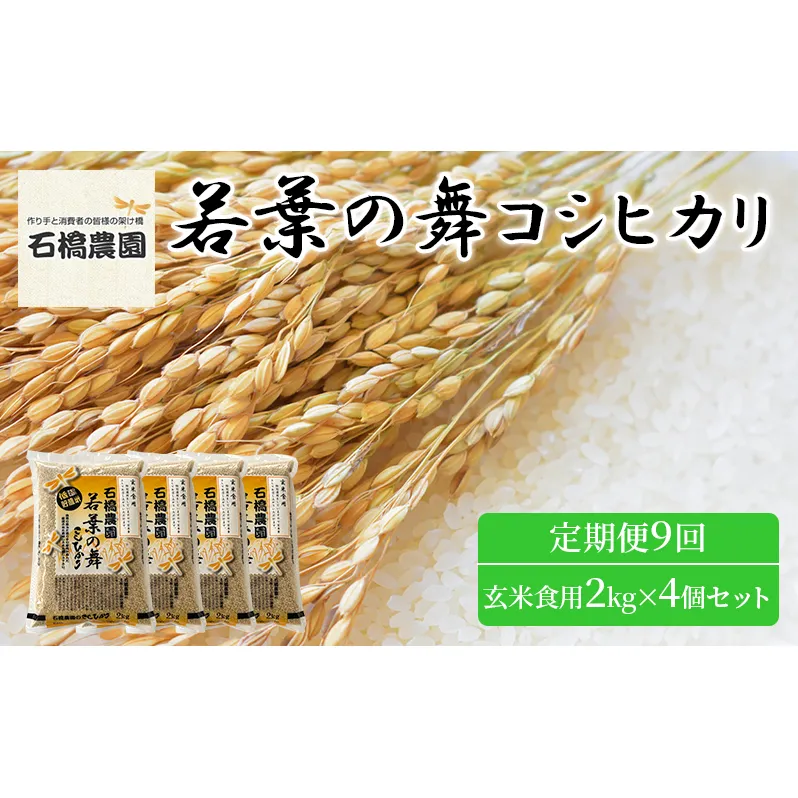 米 若葉の舞 コシヒカリ 玄米食用2Kg×4個セット 定期便9回 こしひかり セット お米 玄米 千葉 千葉県 低温保存