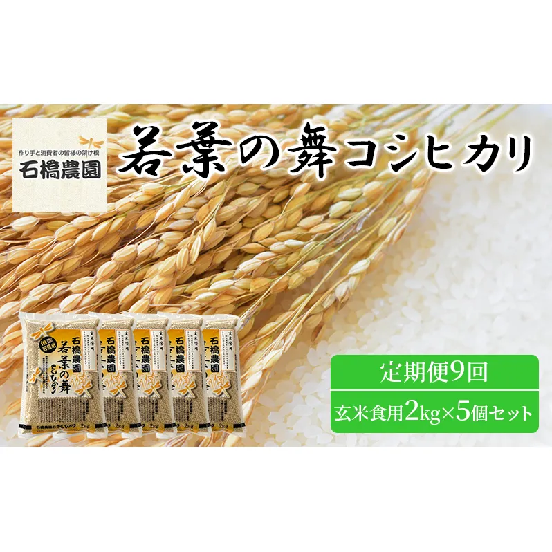 米 若葉の舞 コシヒカリ 玄米食用2Kg×5個セット 定期便9回 こしひかり セット お米 玄米 千葉 千葉県 低温保存