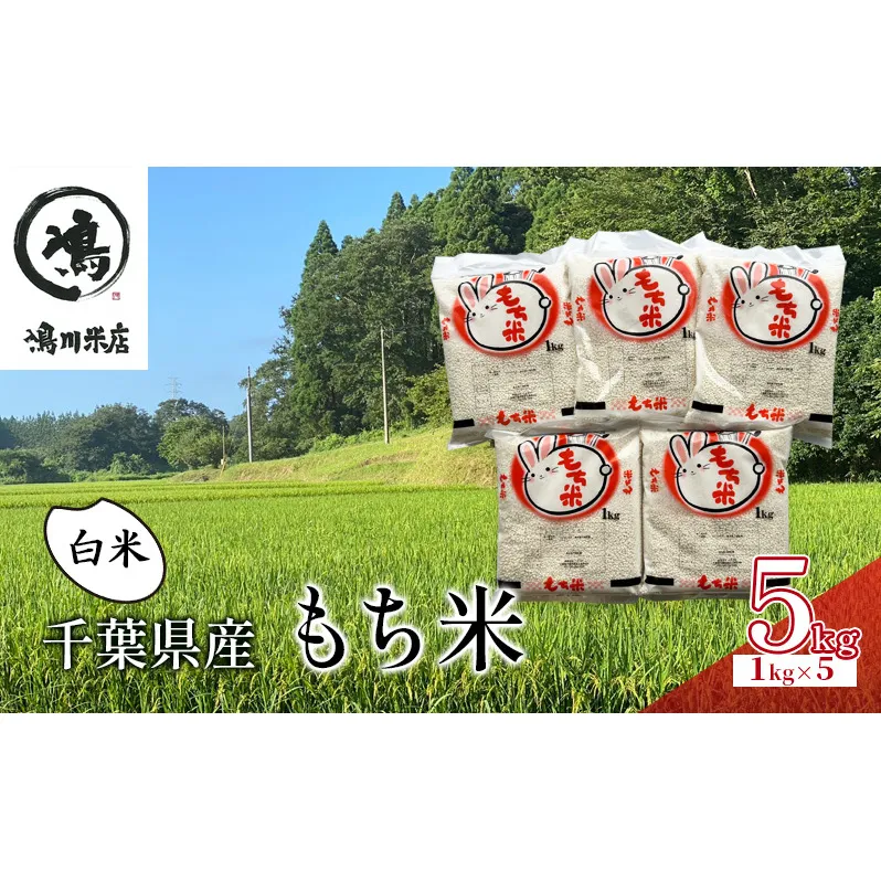 千葉県産　もち米　白米　5kg（1kg×5） お米 米 コメ こめ つやつや もちもち お弁当 おにぎり お取り寄せ 千葉市 千葉県