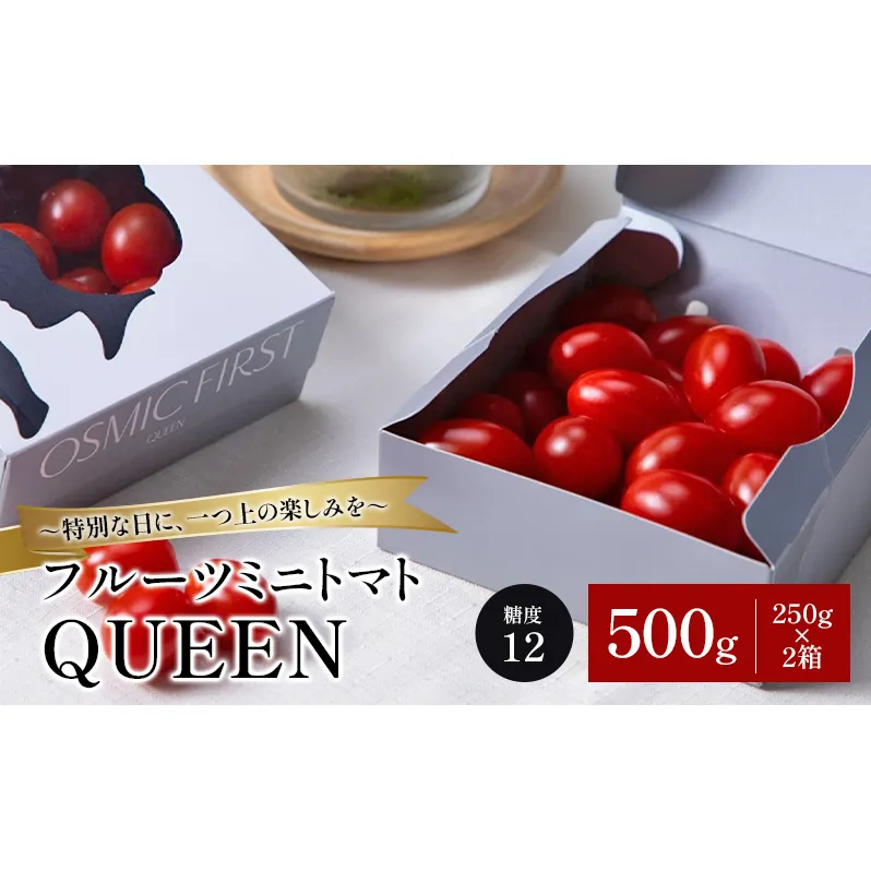 フルーツミニトマトQUEEN 500g(250g×2箱) トマト ミニトマト 国産 野菜 糖度12 濃厚 千葉市 千葉県