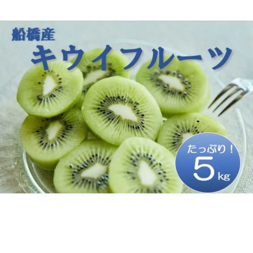 【12月発送分】船橋産キウイフルーツ5.2kg未追熟バラ詰め【傷み補償分約200ｇ込み】 (E02)