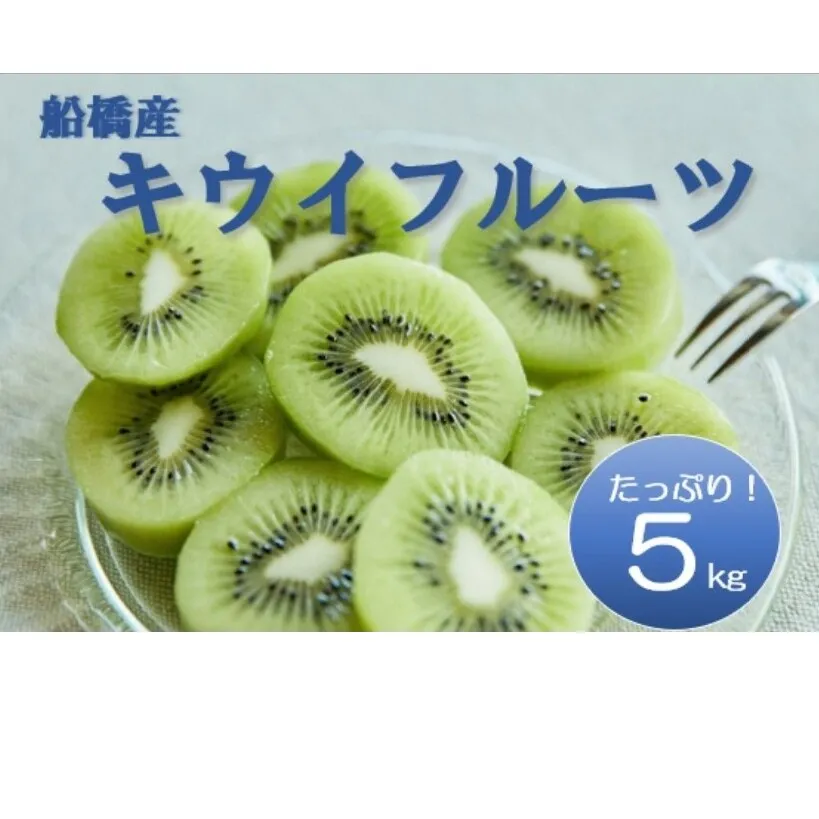 【2月発送分】船橋産キウイフルーツ5.2kg未追熟バラ詰め【傷み補償分約200ｇ込み】 (E04)