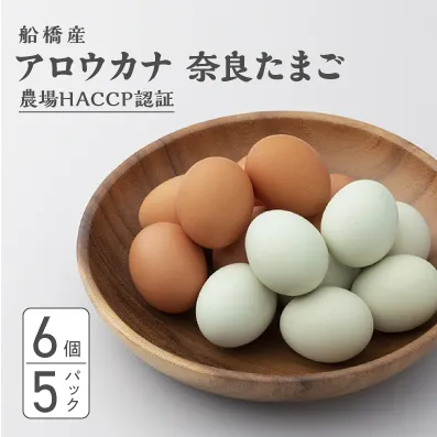 生で食べて美味しい　アロウカナ　奈良たまご　30個セット　6個×5パック　幸せの青いたまご　奈良養鶏園　農場HACCP認証　船橋産　希少　卵　玉子　鶏卵　たまごかけご飯　TKG